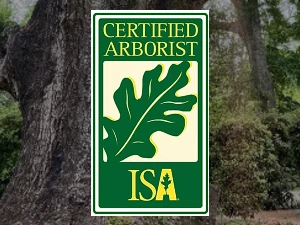 Certified Arborist