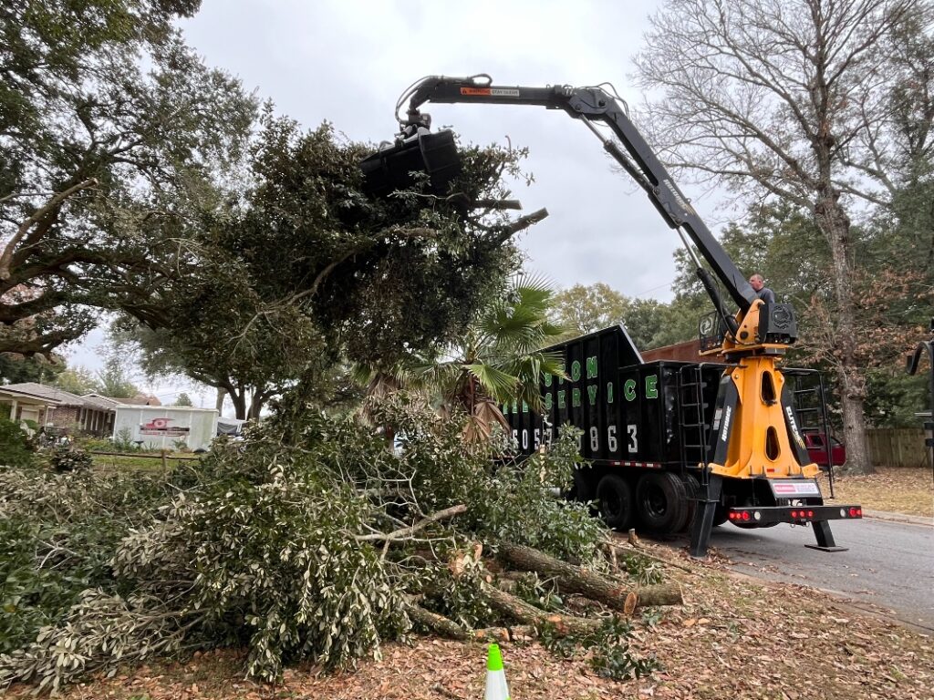 storm cleanup services